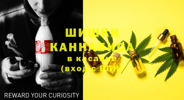 2c-b Вяземский
