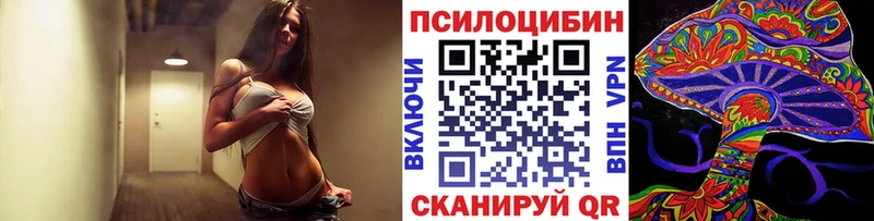 Псилоцибиновые грибы Cubensis Миллерово