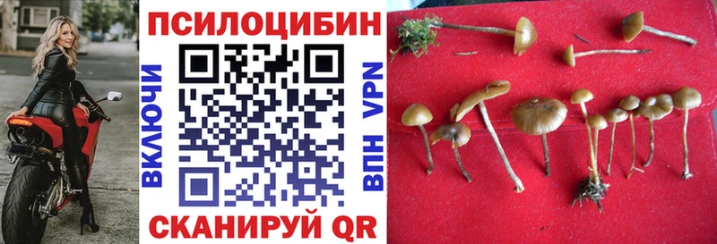 Галлюциногенные грибы Psilocybine cubensis  Купить закладки  Миллерово 